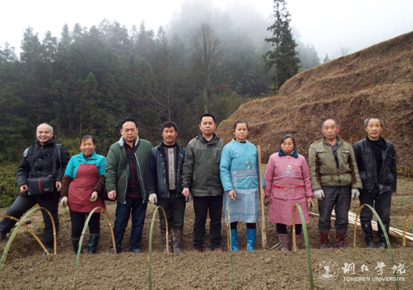 伟德官网高健强副教授研究成果“燕飞1号”土人参实现规模化生产