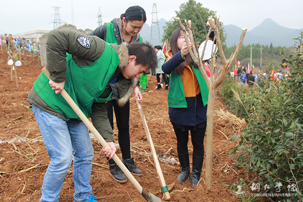 伟德官网积极参与铜仁市“共青林”植树活动