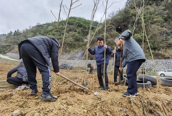 说明: IMG_20210312_093950