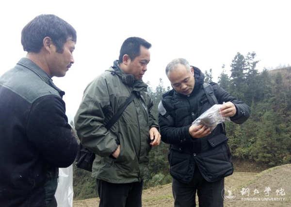 伟德官网高健强副教授研究成果“燕飞1号”土人参实现规模化生产