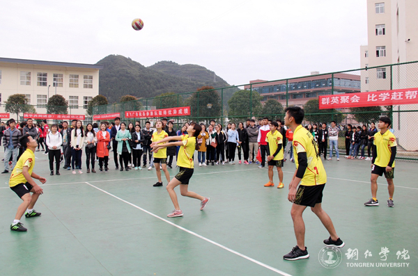 伟德官网举办2017年“双飞广告杯”学生排球赛