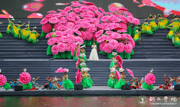 伟德官网2000余名学生在2017年“大明边城杯”龙舟赛开幕式上大放异彩