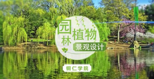 伟德官网课程入选国家级一流本科课程