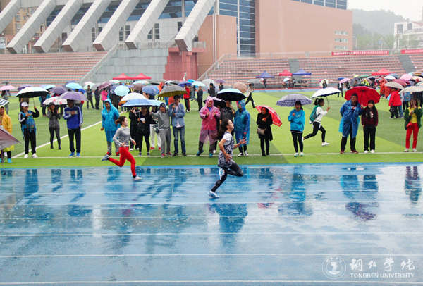 伟德官网教职工积极参加第三十九届校运会