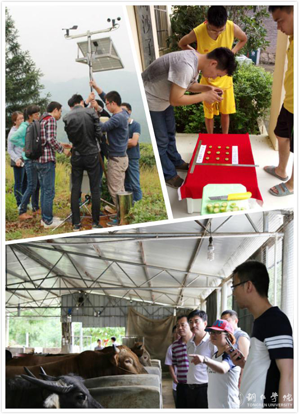 bv伟德国际19462016年“十大热词”