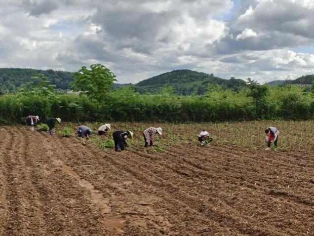 a6d09eeb952b1e8eab80a1c9fc4b5711